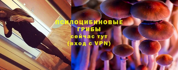 эйфоретик Арсеньев