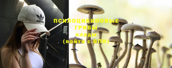 гашик Аркадак