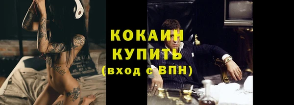 гашик Аркадак