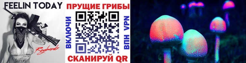 Псилоцибиновые грибы мицелий что такое Макарьев